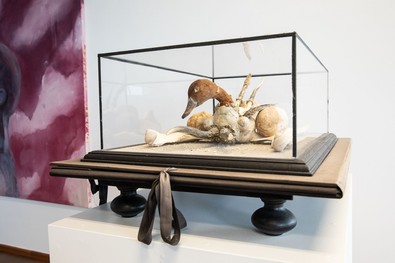 Jan Švankmajer - Natural History - 1973-1998